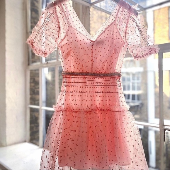 Self-Portrait Pink Mesh Dress - Picture 5 of 5